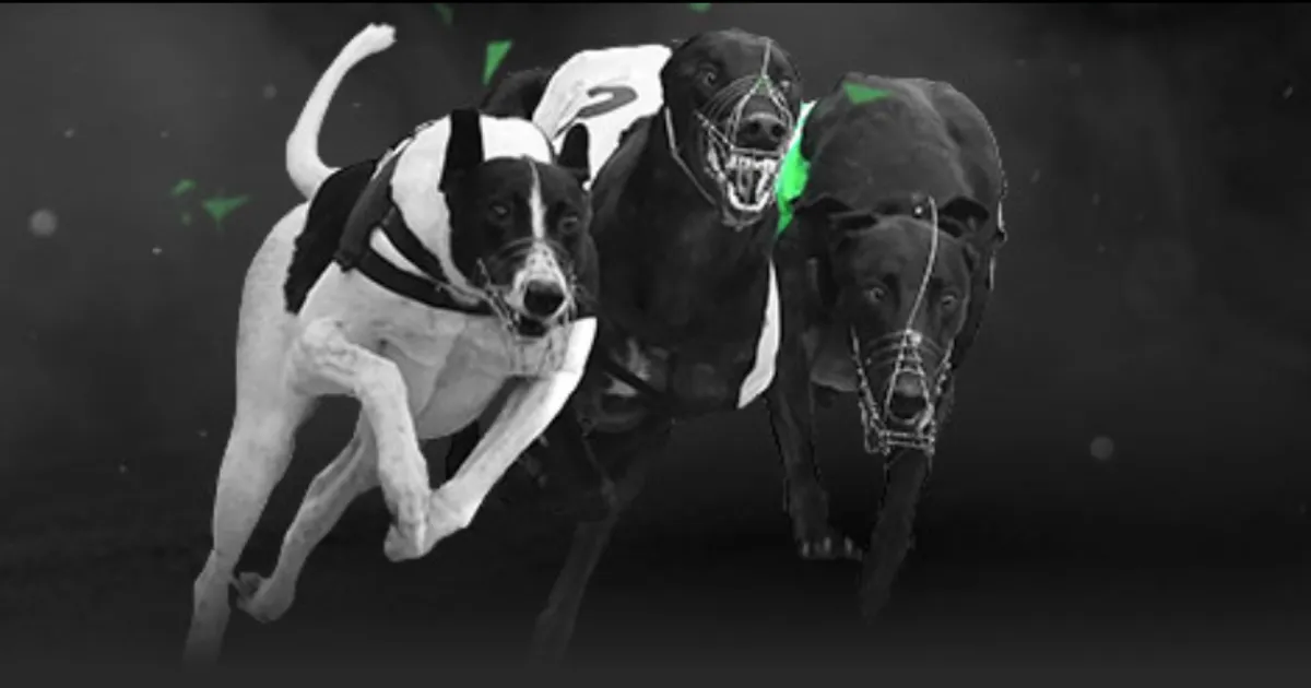 元宵佳节临,传统元宵市,场供需繁荣,星空体育StarSky官网,StarSky星空娱乐,星空体育投注,星空体育平台,星空赛事直播,星空体育app下载