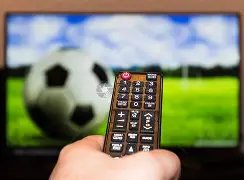 润泽四十载,新征程再燃,激情,星空体育StarSky官网,StarSky星空娱乐,星空体育投注,星空体育平台,星空赛事直播,星空体育app下载