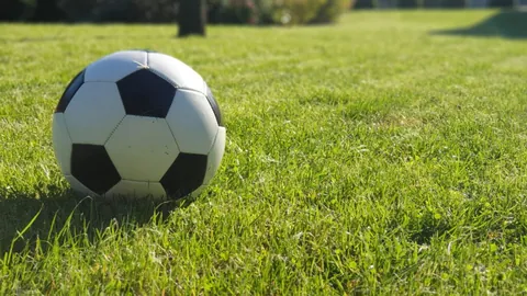 2025年3月29日，流行羽2025传奇挑战赛正式开赛